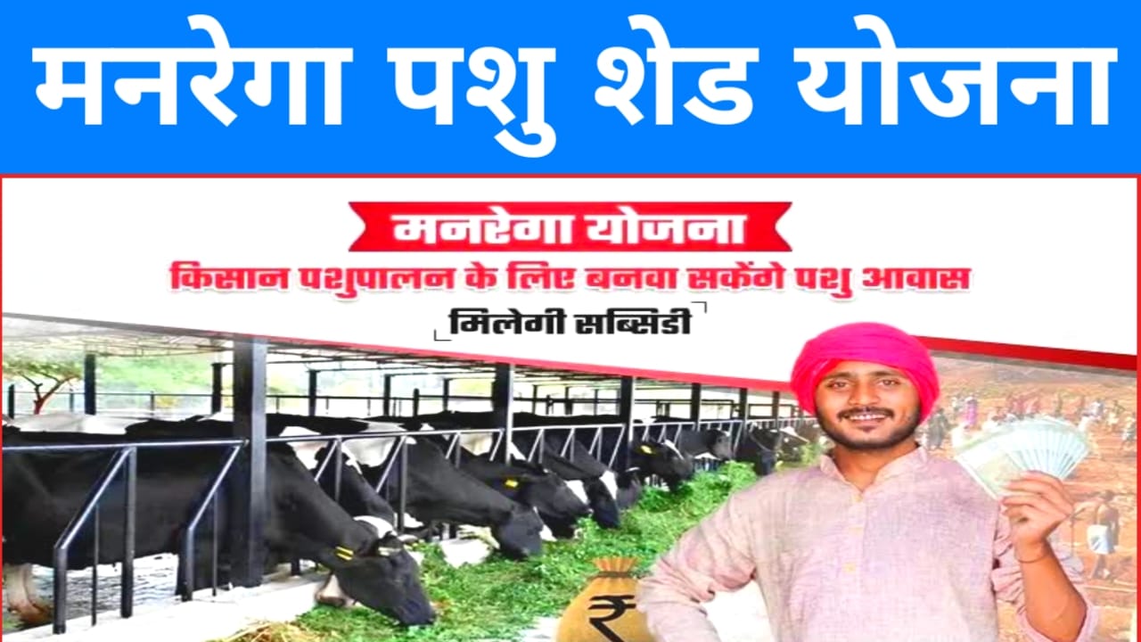 Pashu Shed Yojana 2025
