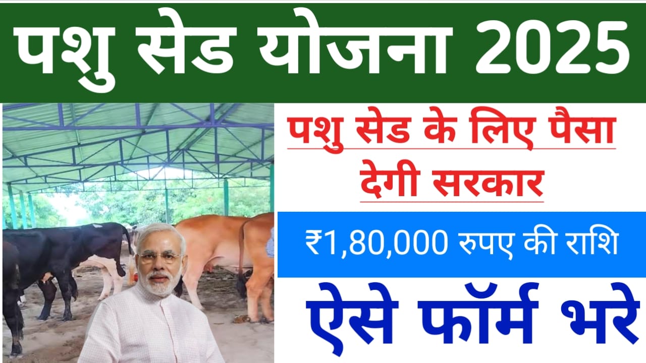 Bihar Pashu Shed Yojana 2025:बिहार में मवेशी पालन को बढ़ावा देने के लिए सरकार दे रही है सब्सिडी 1,60,000 रुपए तक का लाभ अप्लाई करें,Best 🔥👇