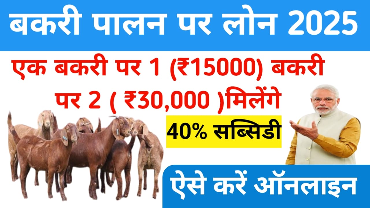 Bakri Palan Business Loan 2025:घर बैठे बकरी पालन बिजनेस लोन योजना में आवेदन फॉर्म भर और तुरंत पे 2 लाख तक का लोन, Best