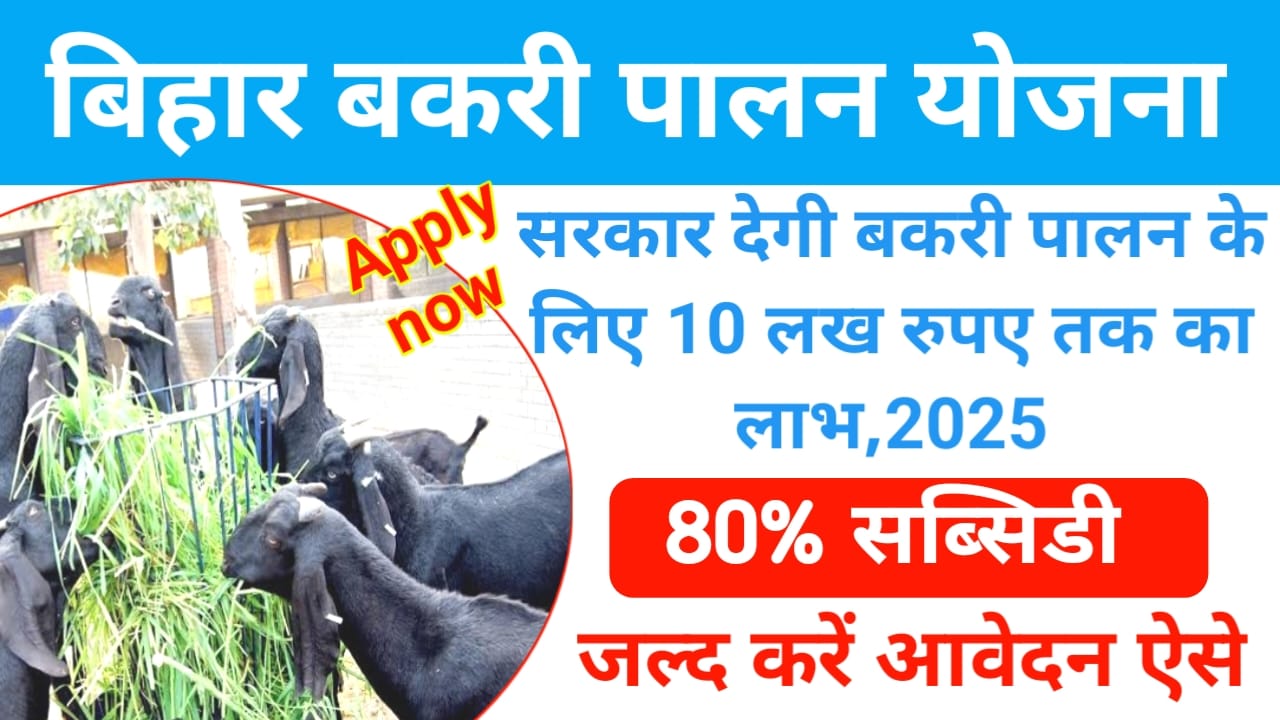 Bihar Bakri Palan Yojana Form 2025:बकरी पालन फ्रॉम योजना में नए आवेदन हुआ शुरू, Best 🔥🔥