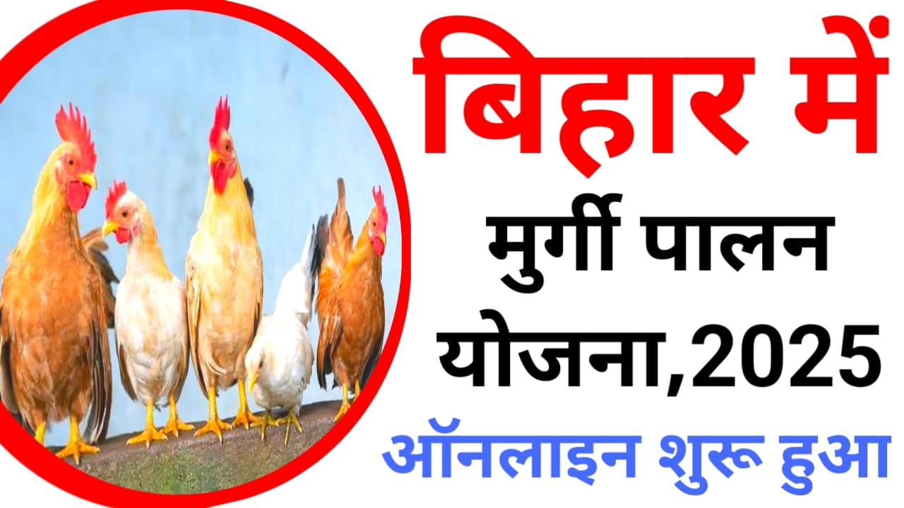 Bihar Murgi Palan Yojana