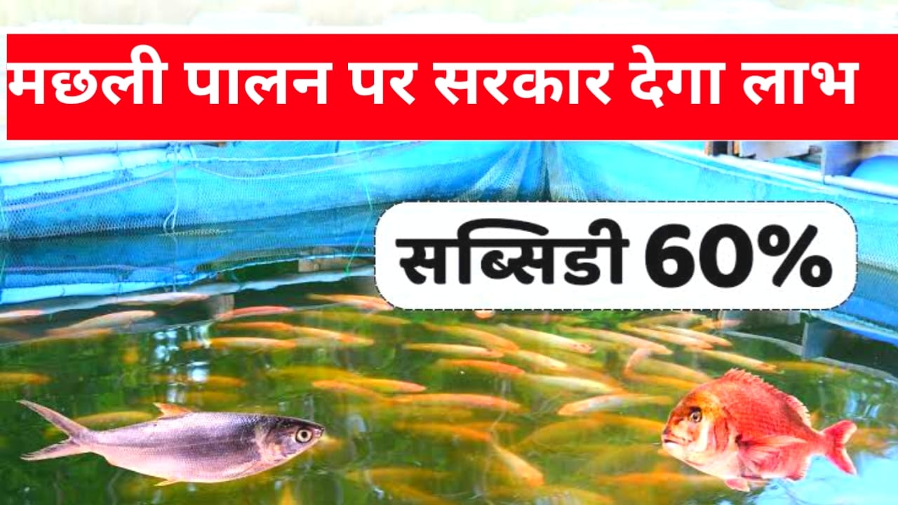 Bihar News 2025