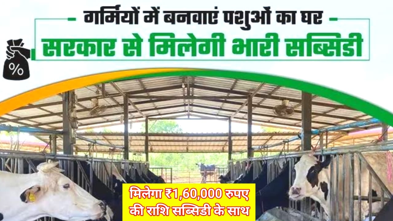 Bihar Pashu Shed Yojana Online 2025:बिहार में युवाओं को मिलेगा 70% सब्सिडी पशु सेट योजना के लिए आवेदन जल्द करें, Best 👇👇👇👇