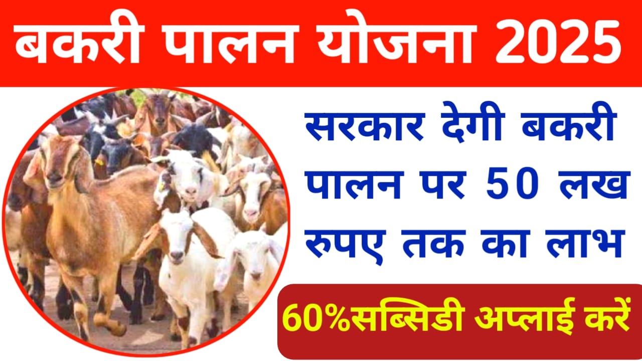 Bakri Palan Loan Yojana 2025:सरकार दे रही है बकरी पालन पर 80% की सब्सिडी जान यहां से पूरी जानकारी, Best लिंक 👇