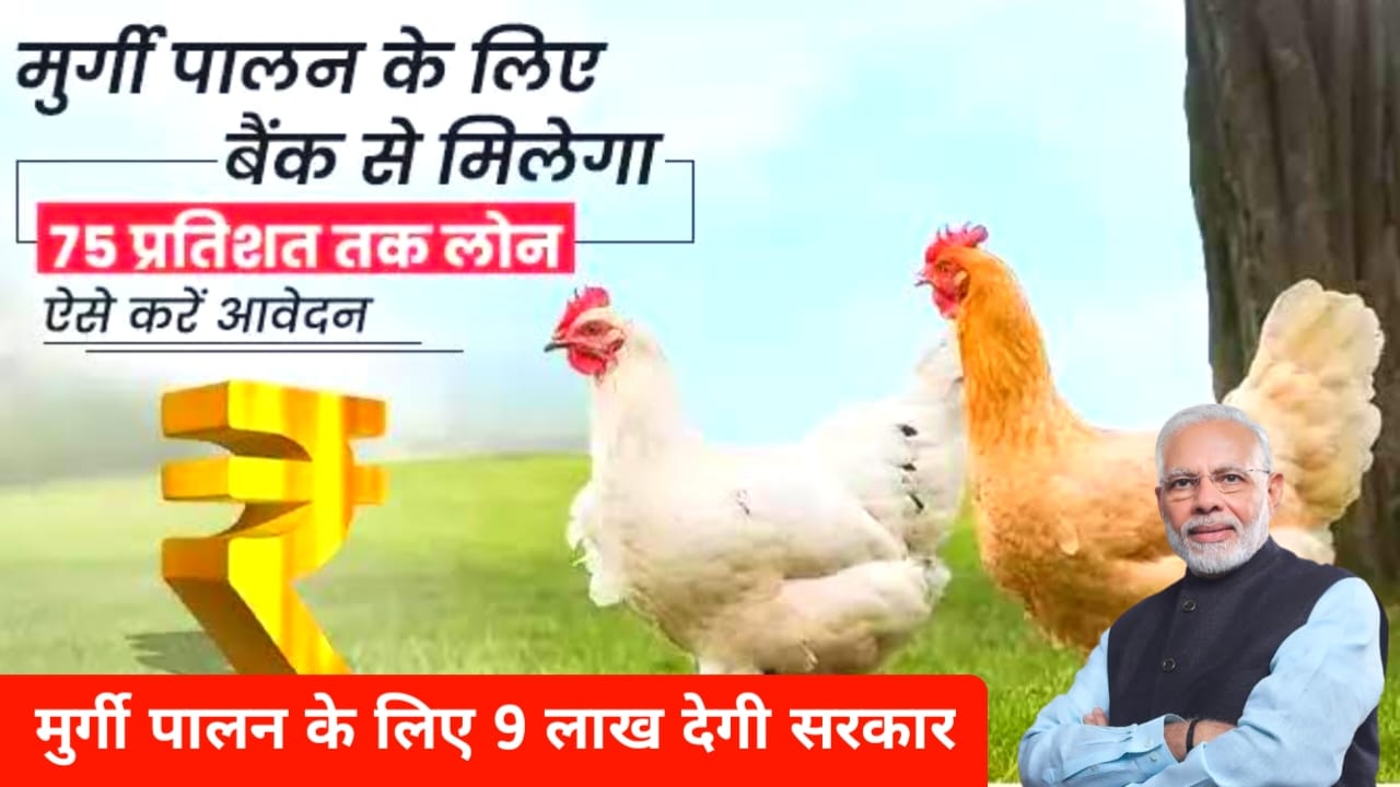 Murgi Palan Loan Yojana :सभी युवाओं को सरकार देगी मुर्गी पालन करने के लिए ₹9 लाख,तक का लोन जल्द करें आवेदन, Best 👇👇🔥