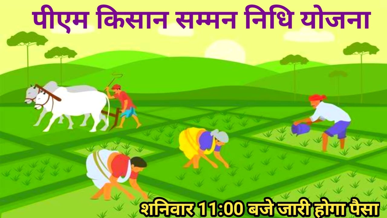PM Kisan 20th Kist :किसानों के खाते में आज शनिवार 2 अगस्त ₹2000 ट्रांसफर होगा 20th किस्त को लेकर आया बड़ा अपडेट
