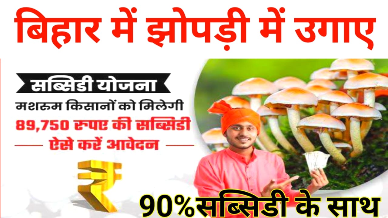Bihar Government Subsidy 2025:बिहार में मशरूम की खेती पर सरकार दे रही है ₹12,00000 तक की सब्सिडी जाने कितना होता है मुनाफा यहां से, Best 👇👇👇🖥️