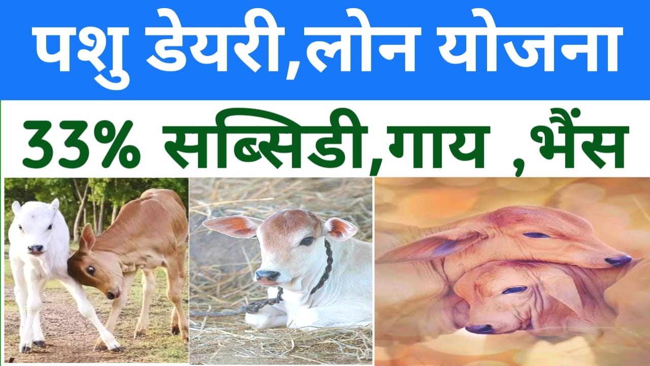 Pashupalan Dairy Loan Yojana:पशुपालन डेयरी लोन योजना के फॉर्म भरना शुरू हुआ है ऐसे करेंगे फॉर्म भरने की प्रक्रिया पूरा,Best👇🔥