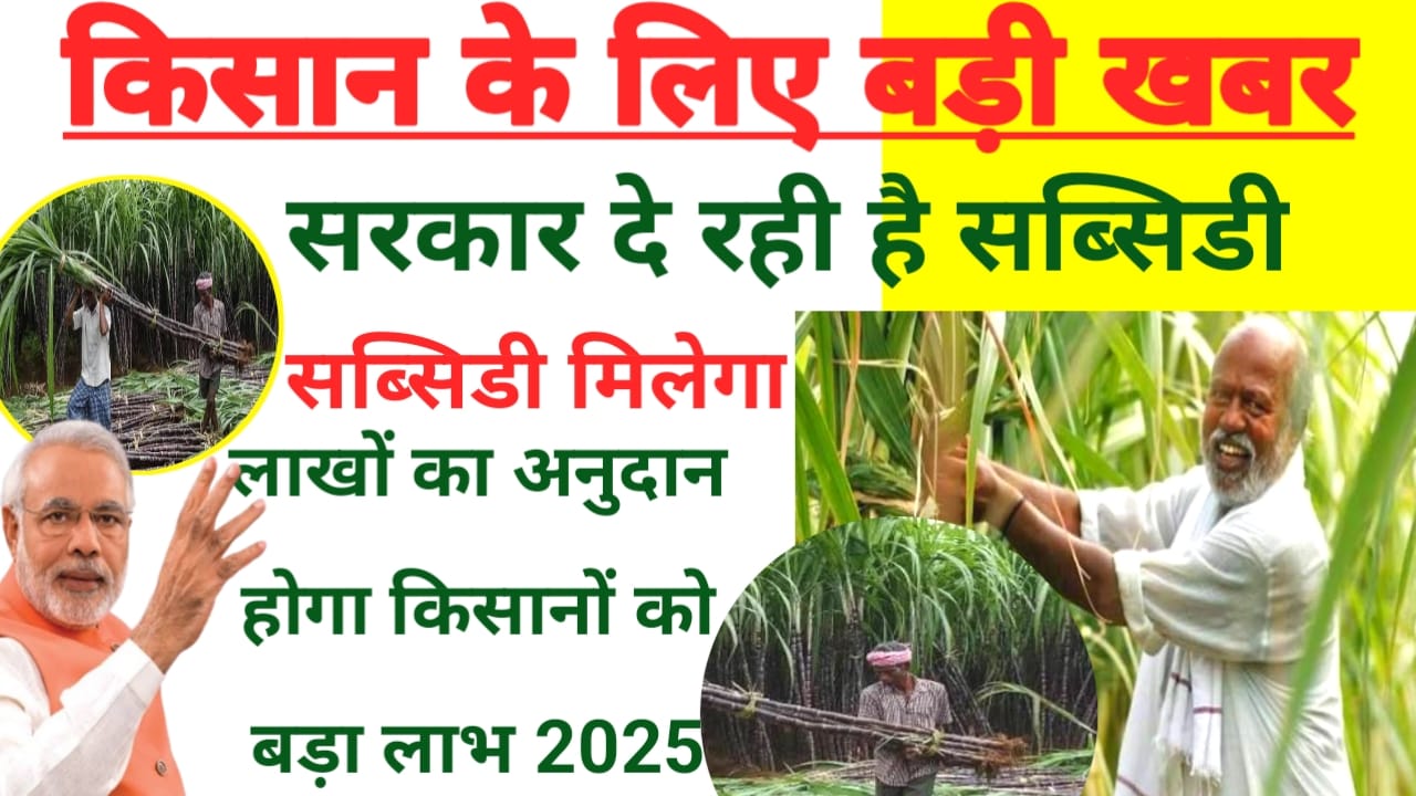 Bihar Mukhyamantri Ganna Vikas Yojana 2025:बिहार में किसानों के खुशखबरी गन्ने की खेती पर सरकार दे रही है सब्सिडी का लाभ आवेदन शुरू हुआ ऐसे करें आवेदन,Best 🔥🚨📢