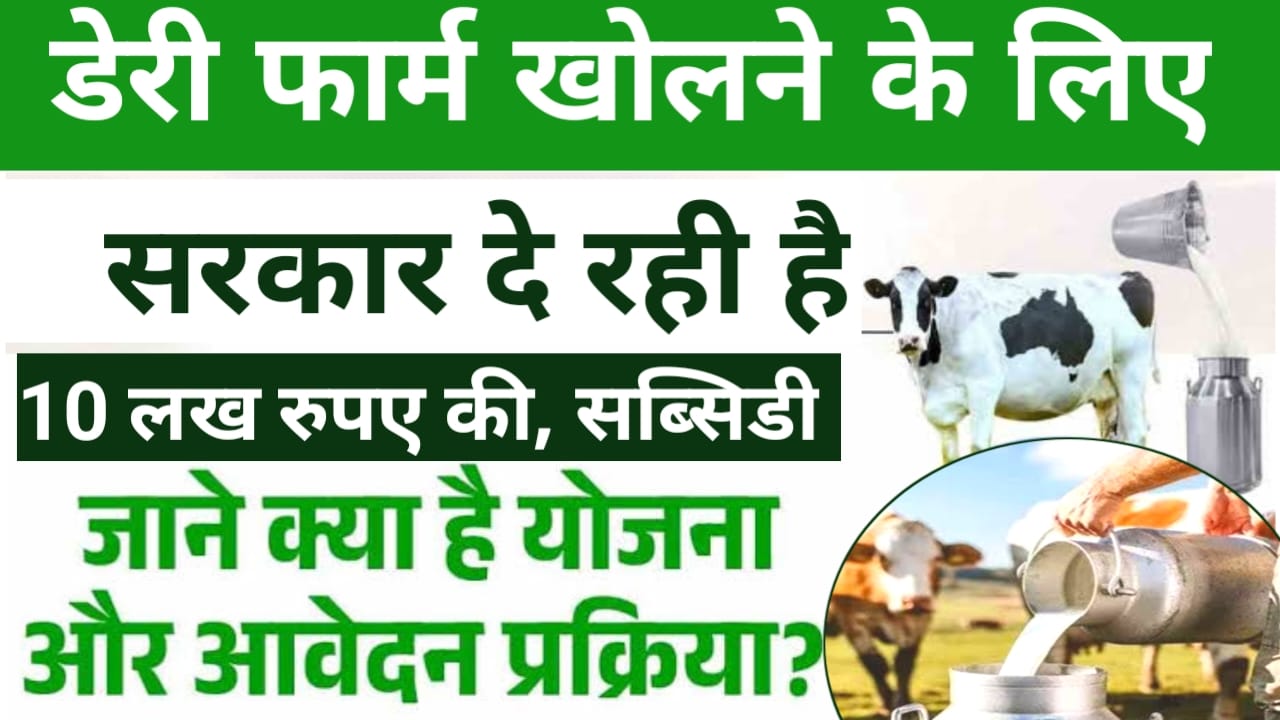 Dairy farm business Loan 2025