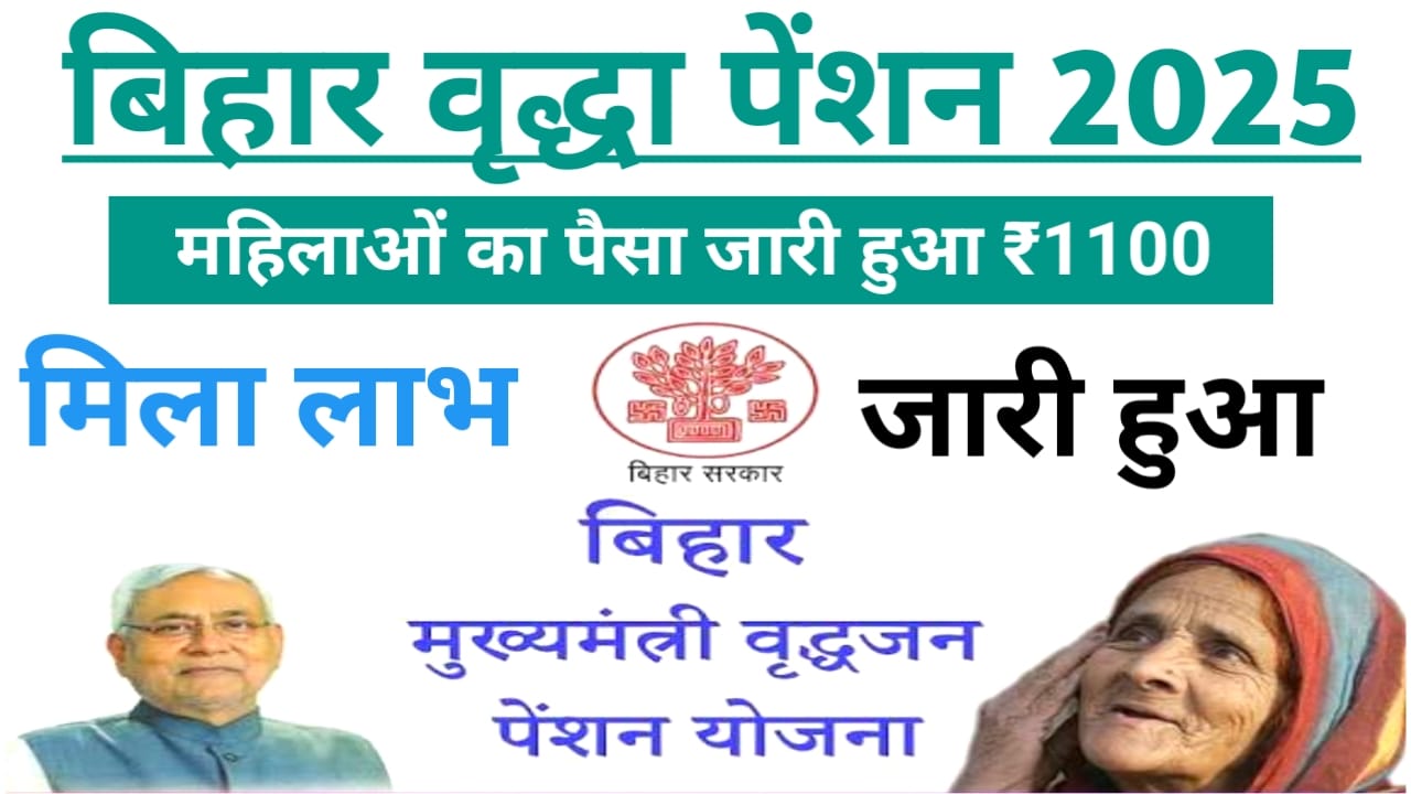Bihar Government Scheme:बिरधा ,विकलांग,विधवा, पेंशन जारी हुआ सभी महिलाओं के बैंक खाते में पैसा जारी हुआ,चेक करें यहां से,Best, 📢
