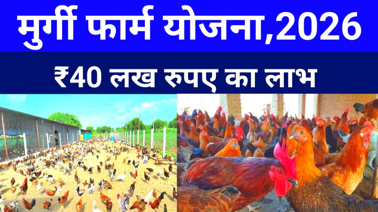 Bihar Murgi Palan Yojana 2026