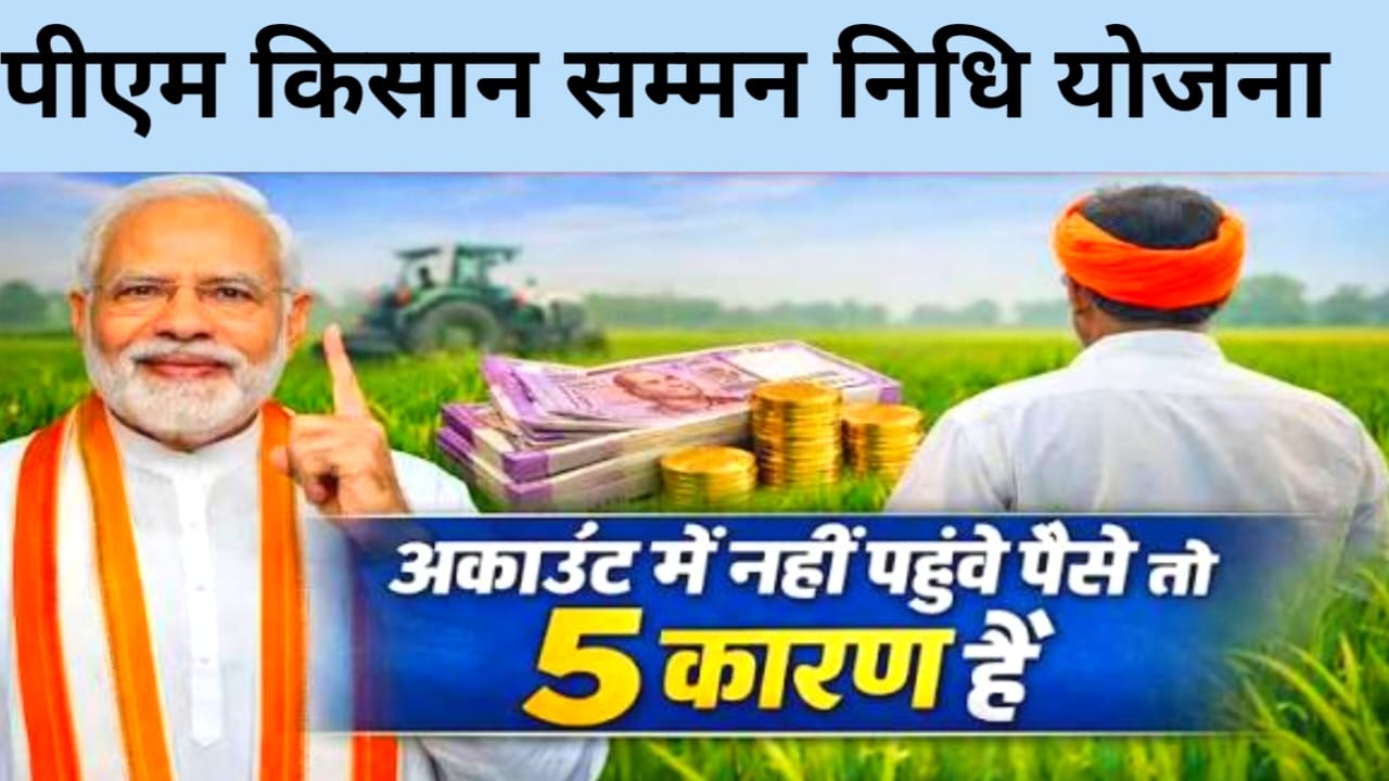 PM Kisan 22th Installment Chick :खाते में नहीं आए पीएम क‍िसान की 22वीं क‍िस्‍त के 2000 रुपये? कैसे …