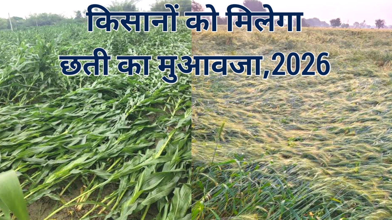 Bihar Fasal Chhati Anudan Online 2026:बिहार के सभी किसानों के लिए आई बड़ी खुशखबरी फसल छतिया पूर्ति के लिए आवेदन शुरू हुआ जान यहां से,Best 📢, 🔥