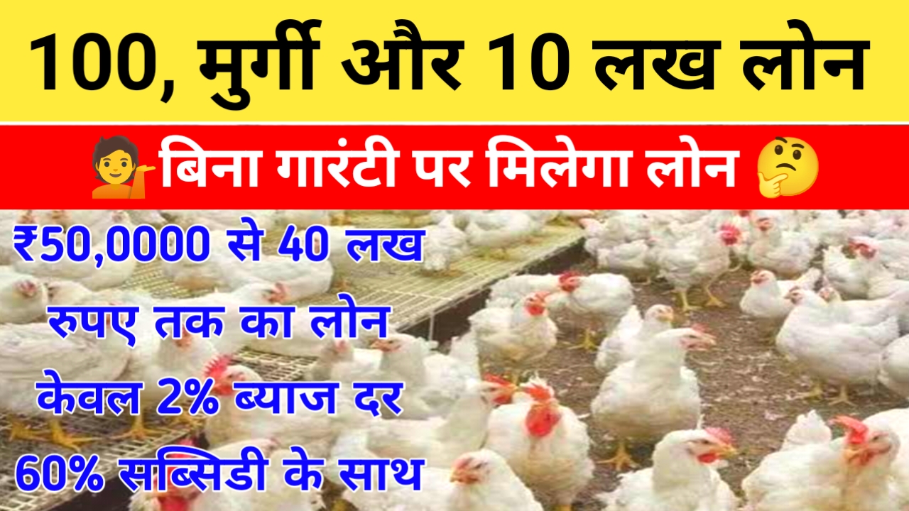 Bihar Poultry Farm Yojana 2026:शुरू 50% सब्सिडी के बिहार के युवाओं को अब मुर्गी पालन करने के लिए सरकार दे रही है 40 लख रुपए तक का लोन इस तरह करें अप्लाई, Best 🔥