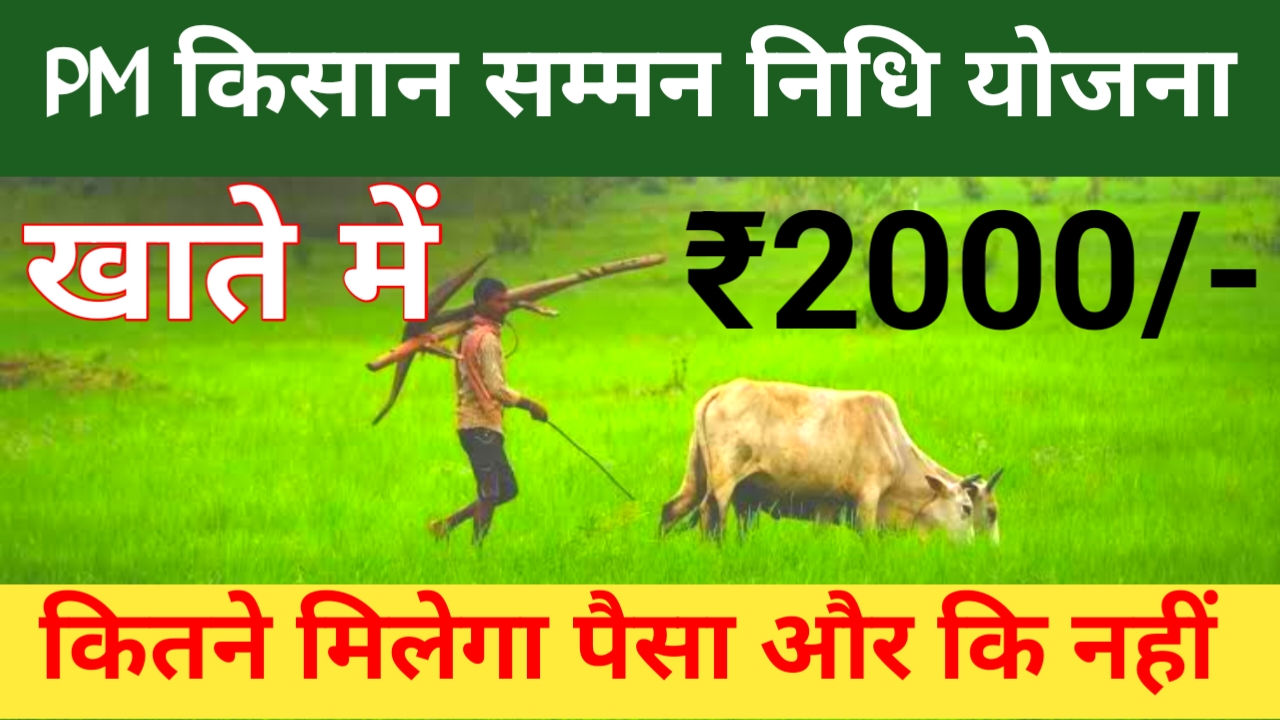 PM Kisan Yojana 23th Kist 2026:किसानों के बैंक अकाउंट में आएगी तो ऐसी किस्त ₹2000 पैसा जाने यहां से,💁📢