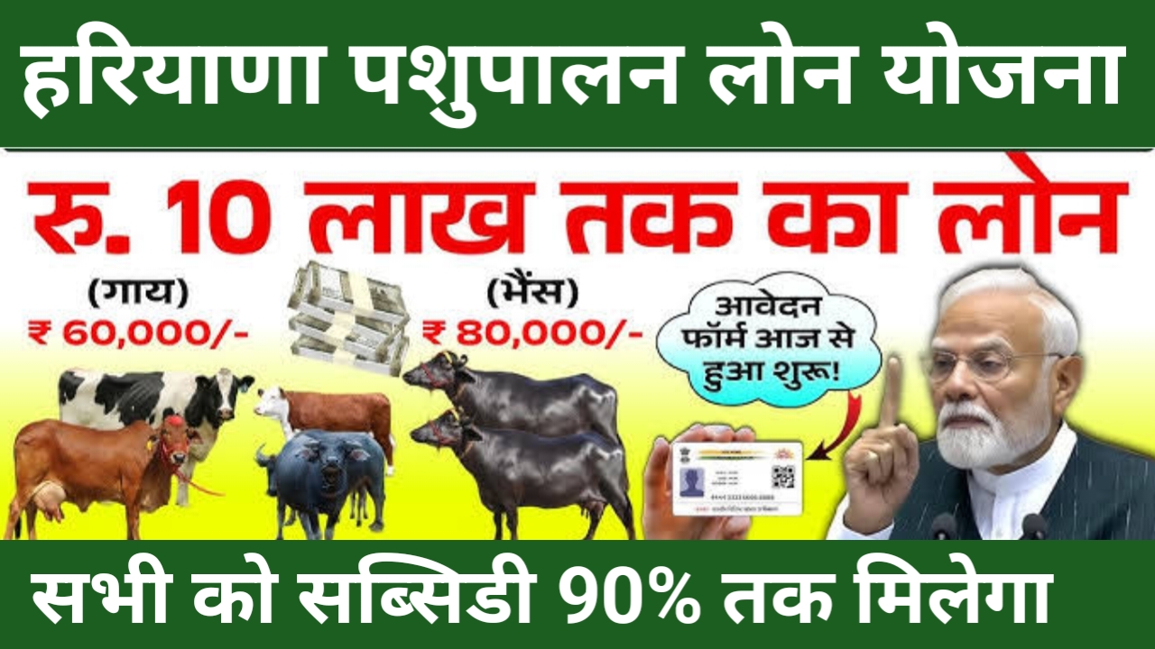 Haryana Animal Loan Dairy Scheme 2026:घर बैठे पशुपालन डेयरी बकरी भीड़ सूअर और मुर्गी पालन पर सरकार दे रही है 90% तक की सब्सिडी जल्द अप्लाई करें, Best