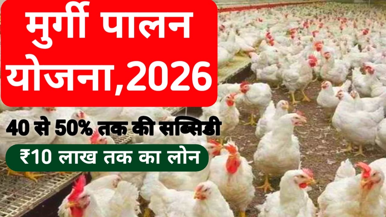 MURGI PALAN LOAN YOJANA ONLINE 2026 :बिहार मुर्गी पालन लोन योजना के लिए फटाक से अप्लाई करें मिलेगा 10 लाख रुपए तक का लोन 50% तक की सब्सिडी,