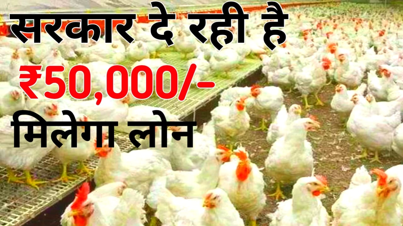 Poultry Farm Loan Scheme 2026:घर बैठे रोजगार करने के लिए मिलेगा 20 लख रुपए तक का लोन 2 मिनट में जाने, Best 📢