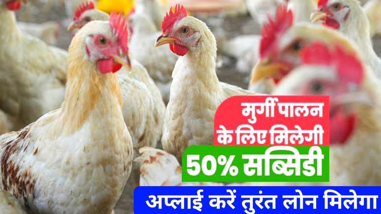 Bihar Murgi Palan Yojana 2026 Online:बिहार  मुर्गी फार्म योजना से मिलेगा ₹20 लाख रुपए तक का लोन जल्द अप्लाई करें