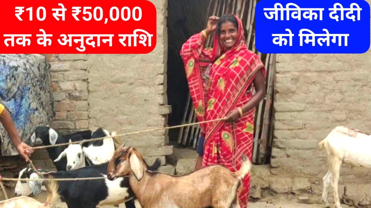 Bihar jeevika bakri palan Yojana 2026