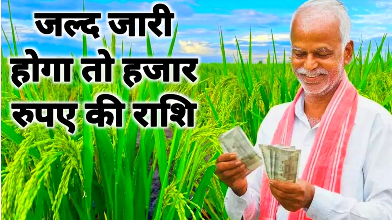 PM Kisan 24th Installment:24th अक्टूबर में दशहरे के शुभ अवसर पर जारी होगा ट्रांसफर ₹2000 जल्द मिलेगी उसका भी देखें,