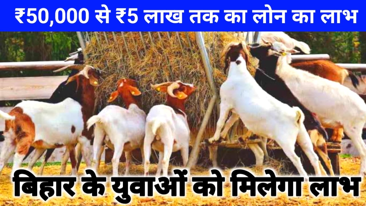 Bihar Goat Farming Scheme will get subsidy :बिहार के युवाओं को मिलेगा बकरी पालन पर ₹200000 तक का लोन का लाभ ऐसे अप्लाई करें,