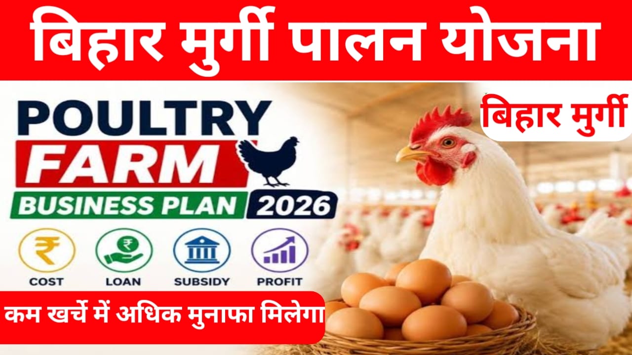 Poultry Farm Loan Scheme Apply 2026:युवाओं को रोजगार शुरू करने के लिए सरकार दे रही है ₹200000 तक का अतिरिक्त लोन मुर्गी पालन पर मिलेगा अधिक से अधिक लोन का लाभ,