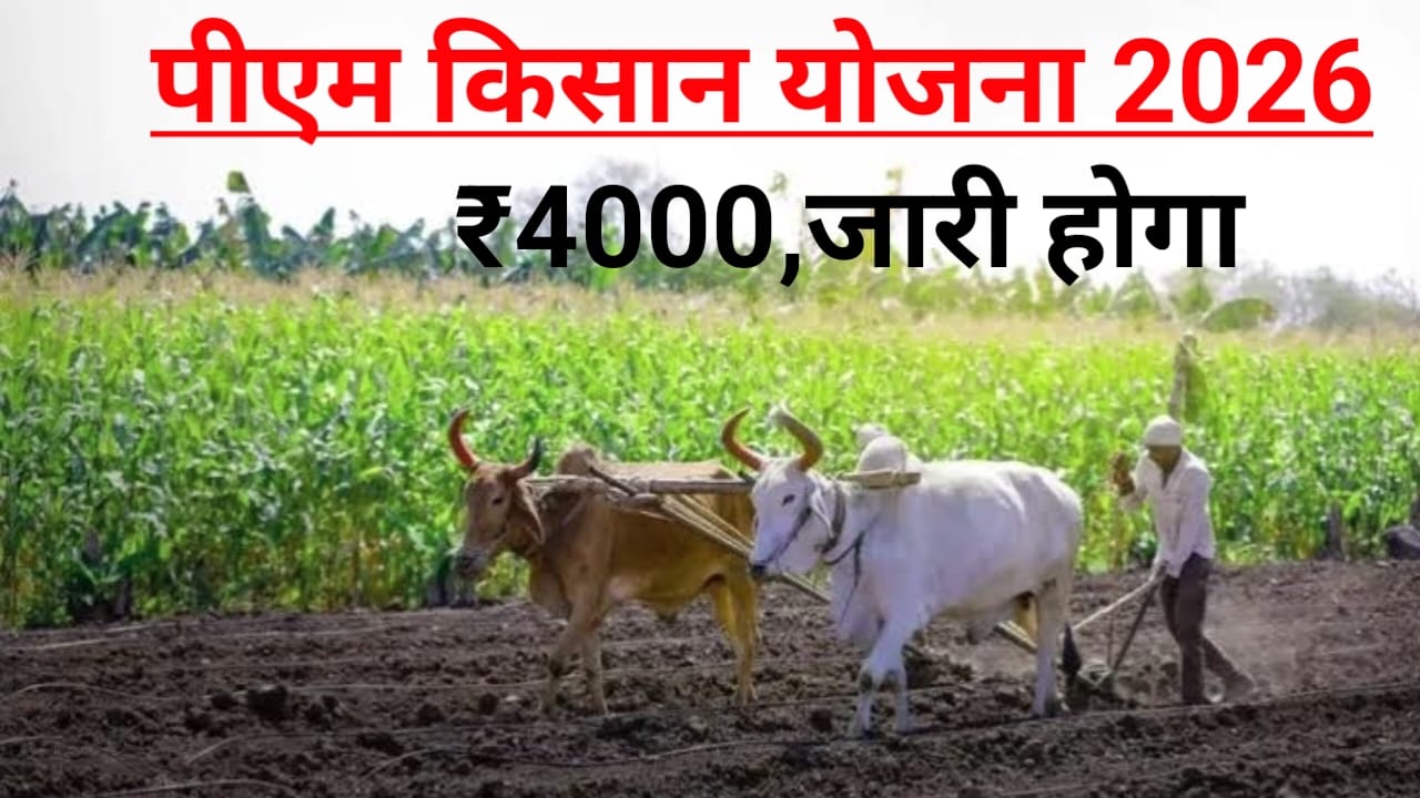 Breaking News Bihar PM Kisan 24th:अभी-अभी बड़ी खबर सितंबर को जारी होगा 24 अगस्त ₹4000 की राशि पूरी सच देखें,Best 🔥📢