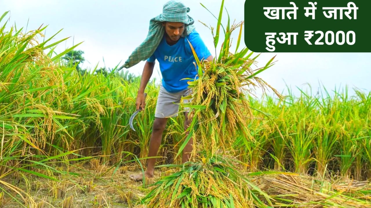 PM Kisan 24th Installment ₹2000 Chick 2026 :पीएम किसान सम्मन निधि 24वीं किस्त का इंतजार इसी महीने जारी होगा,जल्द जारी होगा ₹4000 की राशि